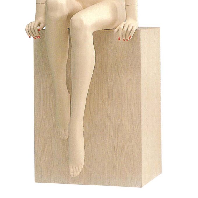 Display Tool : 染色ボックス OW-3 (大)