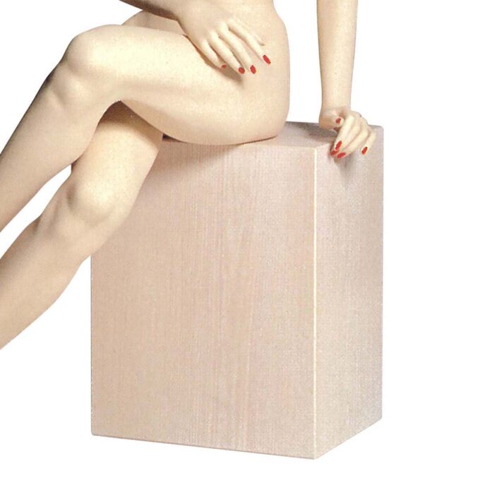 Display Tool : 染色ボックス OW-4 (小)