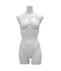 Torso : LT123