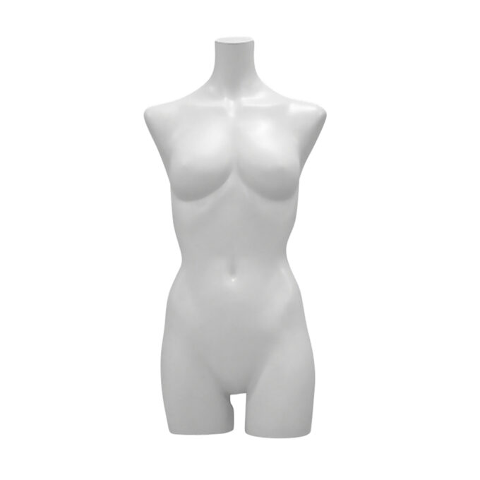 Torso : LT123