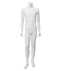 Men&#039;s Headless : Mannequin PMA002