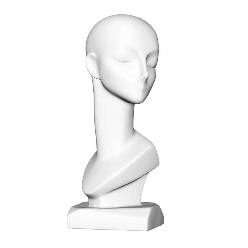 Accessory : Head Form T028